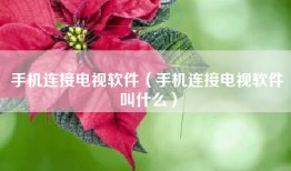 手机连接电视软件（手机连接电视软件叫什么）