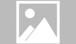 贵州福泉：司机＂跳槽＂养豪猪 带领乡邻共小康