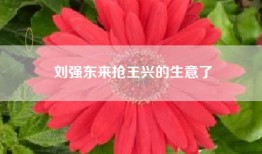 刘强东来抢王兴的生意了