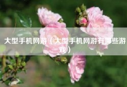 大型手机网游（大型手机网游有哪些游戏）