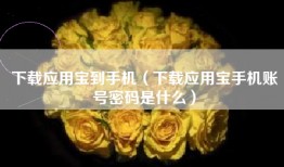 下载应用宝到手机（下载应用宝手机账号密码是什么）