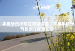手机录音权限在哪里设置（苹果手机录音权限在哪里设置）