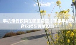 手机录音权限在哪里设置（苹果手机录音权限在哪里设置）