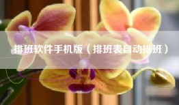 排班软件手机版（排班表自动排班）