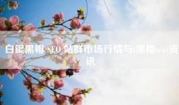 白银黑帽 SEO 站群市场行情与(黑帽seo)资讯