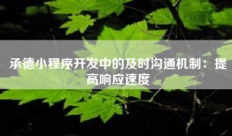 承德小程序开发中的及时沟通机制：提高响应速度