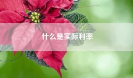 什么是实际利率