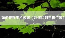 如何找到手机位置（如何找到手机位置？）