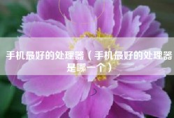 手机最好的处理器（手机最好的处理器是哪一个）
