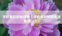 手机最好的处理器（手机最好的处理器是哪一个）