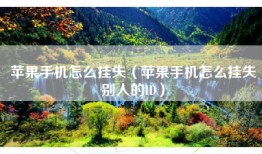 苹果手机怎么挂失（苹果手机怎么挂失别人的ID）