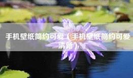 手机壁纸简约可爱（手机壁纸简约可爱清新）