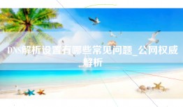 DNS解析设置有哪些常见问题_公网权威解析