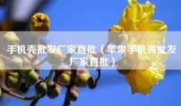 手机壳批发厂家直批（苹果手机壳批发厂家直批）