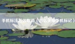 手机标注怎么取消（怎么关掉手机标记）