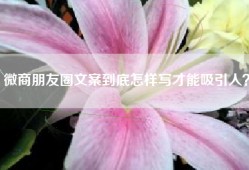 微商朋友圈文案到底怎样写才能吸引人？