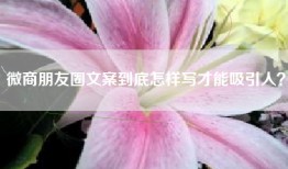 微商朋友圈文案到底怎样写才能吸引人？