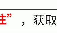 《水饺皇后》官宣！刘伟强出山，马丽入局，惠英红坐镇，票房稳了