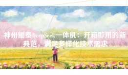 神州鲲泰DeepSeek一体机：开箱即用的新典范，满足多样化技术需求