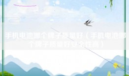 手机电池哪个牌子质量好（手机电池哪个牌子质量好安全性高）