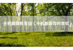 手机翻新机鉴别（手机翻新如何查验）