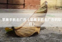 苹果手机去广告（苹果手机去广告的软件）