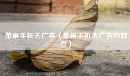 苹果手机去广告（苹果手机去广告的软件）