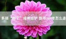 多项“首个”成果出炉 数币2024年怎么走