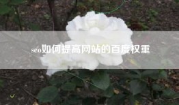 seo如何提高网站的百度权重