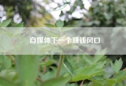 自媒体下一个赚钱风口