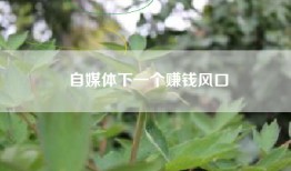 自媒体下一个赚钱风口