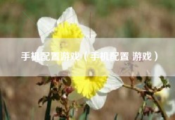 手机配置游戏（手机配置 游戏）