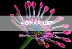 中国十大文化遗产