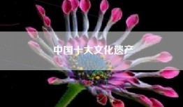 中国十大文化遗产
