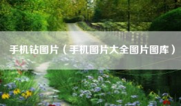手机钻图片（手机图片大全图片图库）