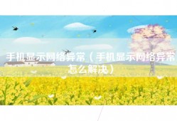 手机显示网络异常（手机显示网络异常怎么解决）