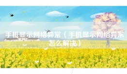 手机显示网络异常（手机显示网络异常怎么解决）