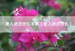 老人适合什么手机（老人适合什么）