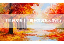 手机开发者（手机开发者怎么关闭）