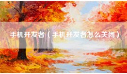手机开发者（手机开发者怎么关闭）