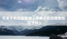 苹果手机出现黑屏（苹果手机出现黑屏,按不开）