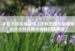 手机怎样压缩视频（手机怎样压缩视频的大小并且保持视频的清晰度）