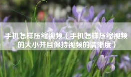 手机怎样压缩视频（手机怎样压缩视频的大小并且保持视频的清晰度）