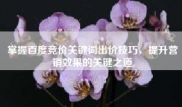 掌握百度竞价关键词出价技巧，提升营销效果的关键之道