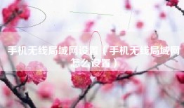 手机无线局域网设置（手机无线局域网怎么设置）