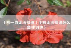 手机一直无法接通（手机无法接通怎么能找到他）
