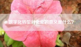 数字化转型对企业的意义是什么？
