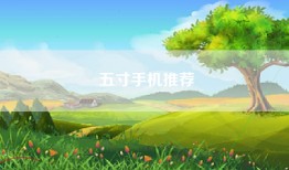 五寸手机推荐