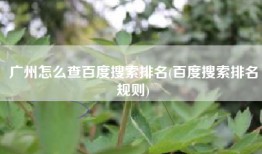 广州怎么查百度搜索排名(百度搜索排名规则)
