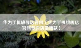 华为手机旗舰店官网（华为手机旗舰店官网专卖店最新款）